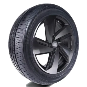 Sunny NP226 195/55R16 87V